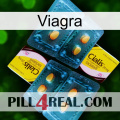 Viagra cialis5